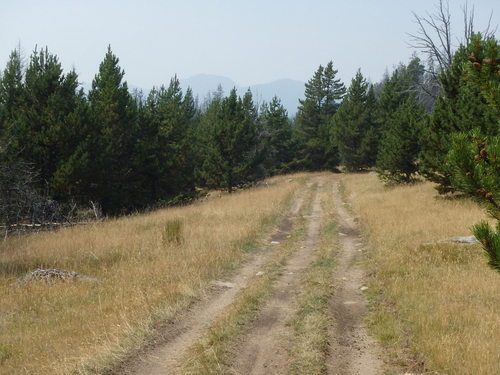 GDMBR: Cycling on another Unnamed/Unmarked National Forest Road.